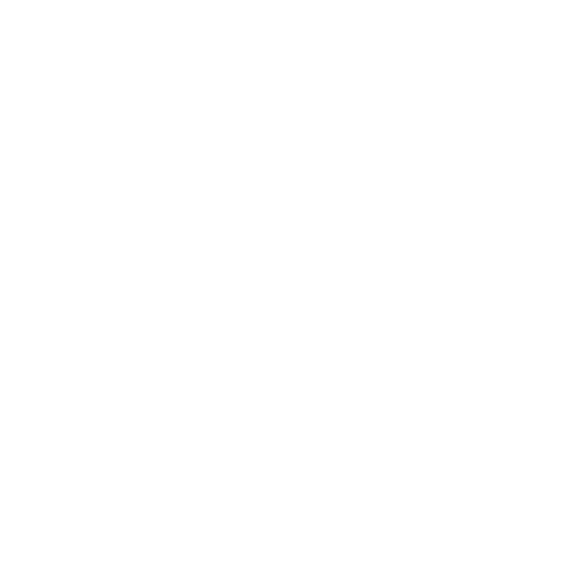 SoFlo Flippers